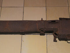 Besonderes &quot;Senne-Fundstück&quot;