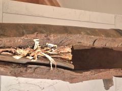 Exponat des Monats - Jul. &#039;24